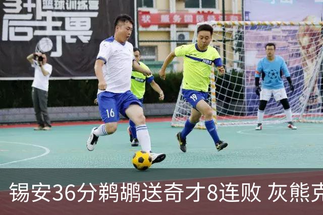 锡安36分鹈鹕送奇才8连败 灰熊克火箭止9连败